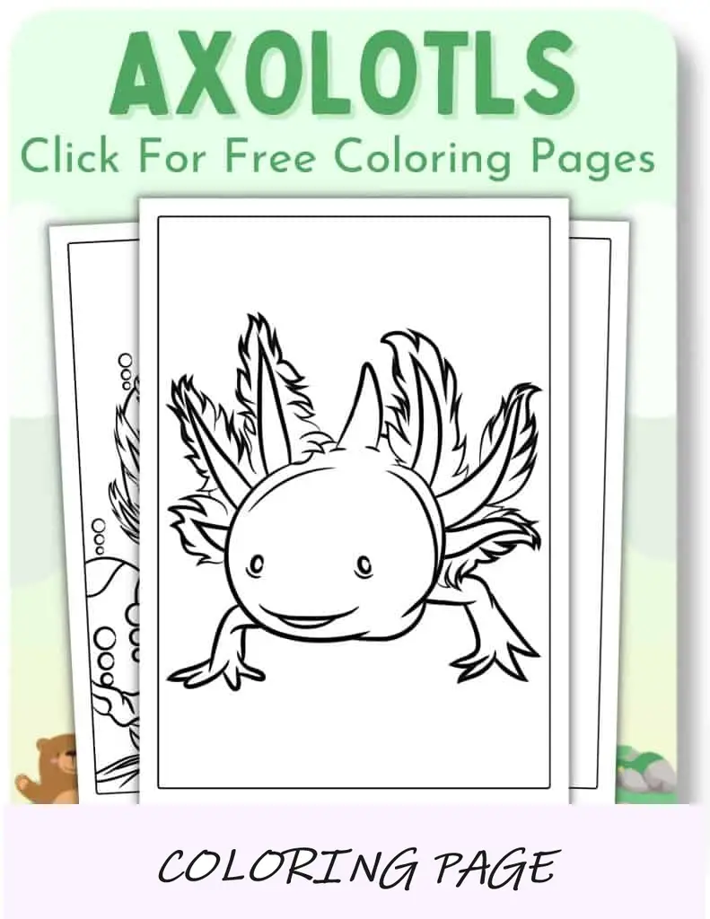 Desenhos para colorir de axolotes_