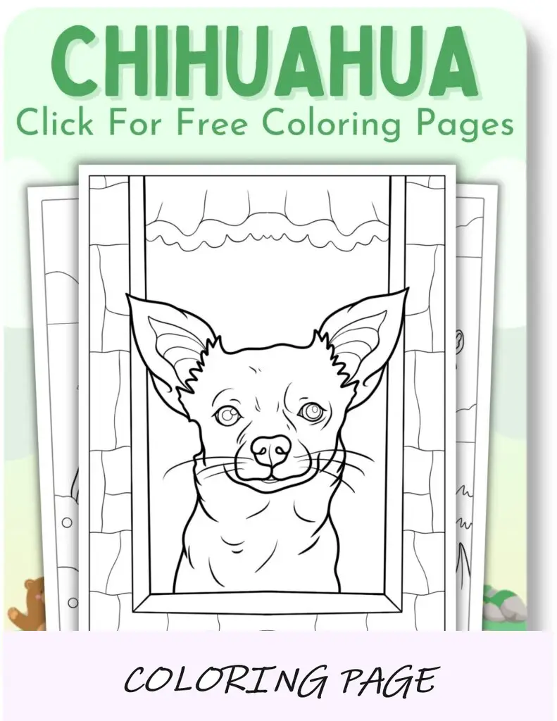 Desenhos para colorir de chihuahua para animais