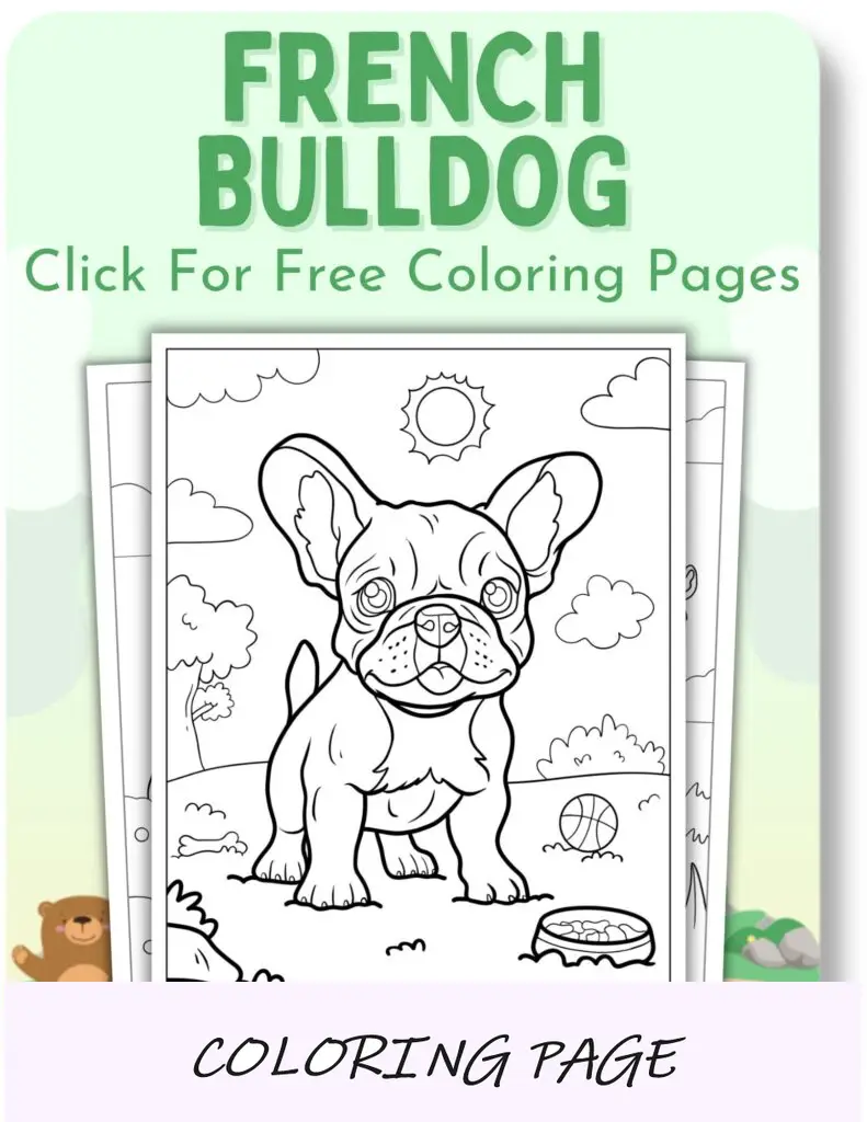 Desenhos para colorir de buldogue francês para animais