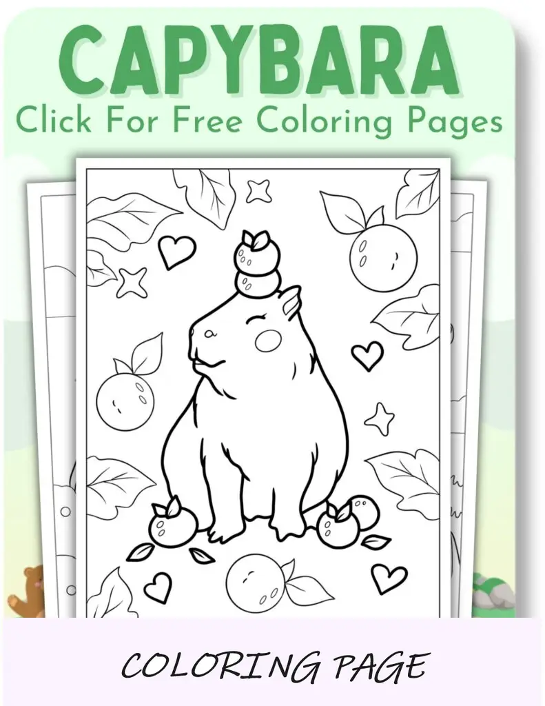 Desenhos para colorir de capivara para animais