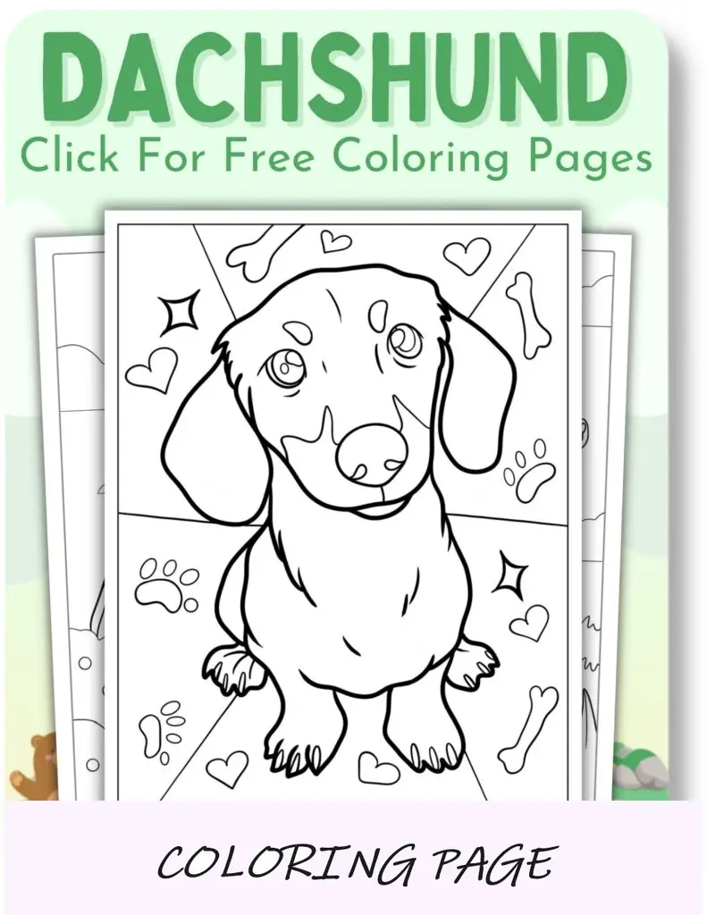 Desenhos para colorir de Dachshund para animais