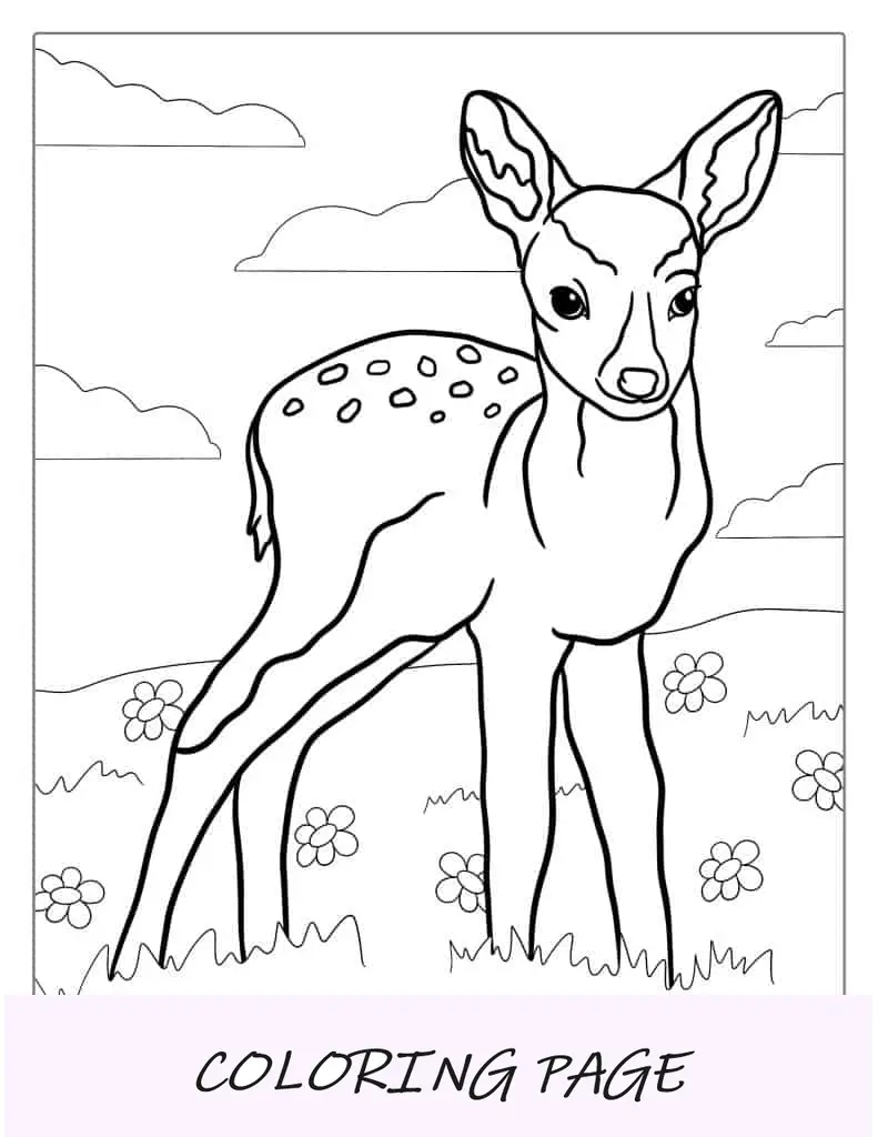 Pagina da colorare di cervo fulvo per bambini