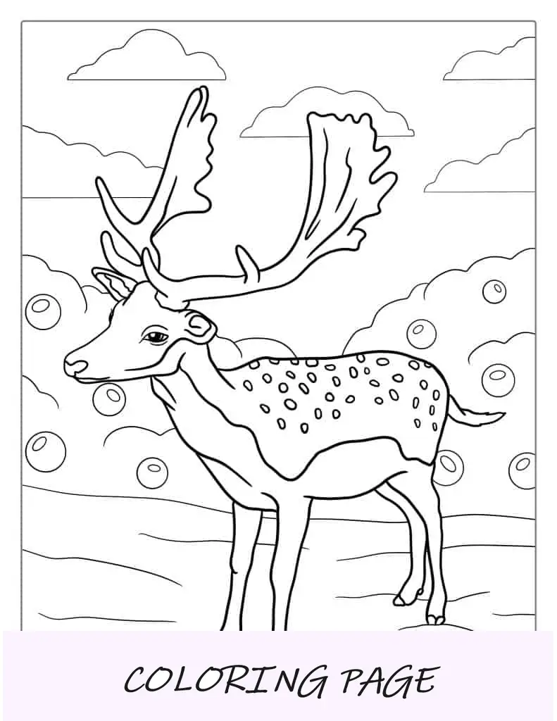 Foglio da colorare di daino per bambini