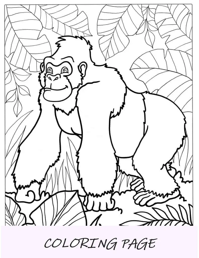 Imagem para colorir de gorila sorridente na selva