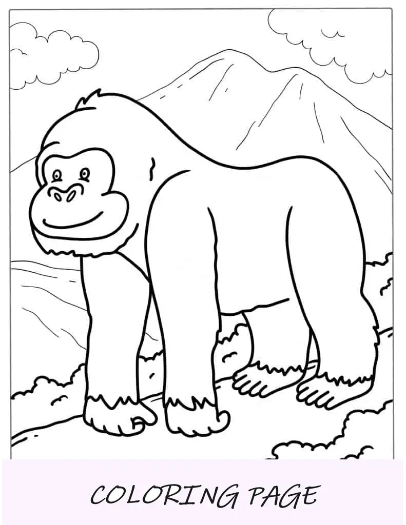 Contorno simples de um gorila da montanha para colorir