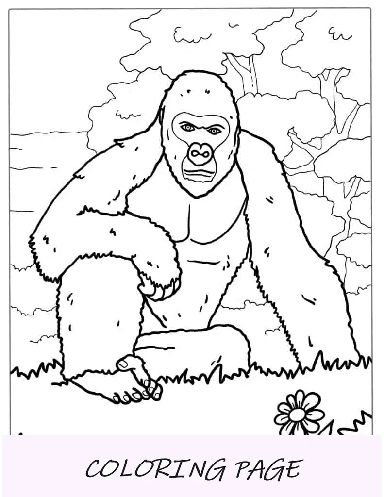 Gorila descansando na selva para colorir