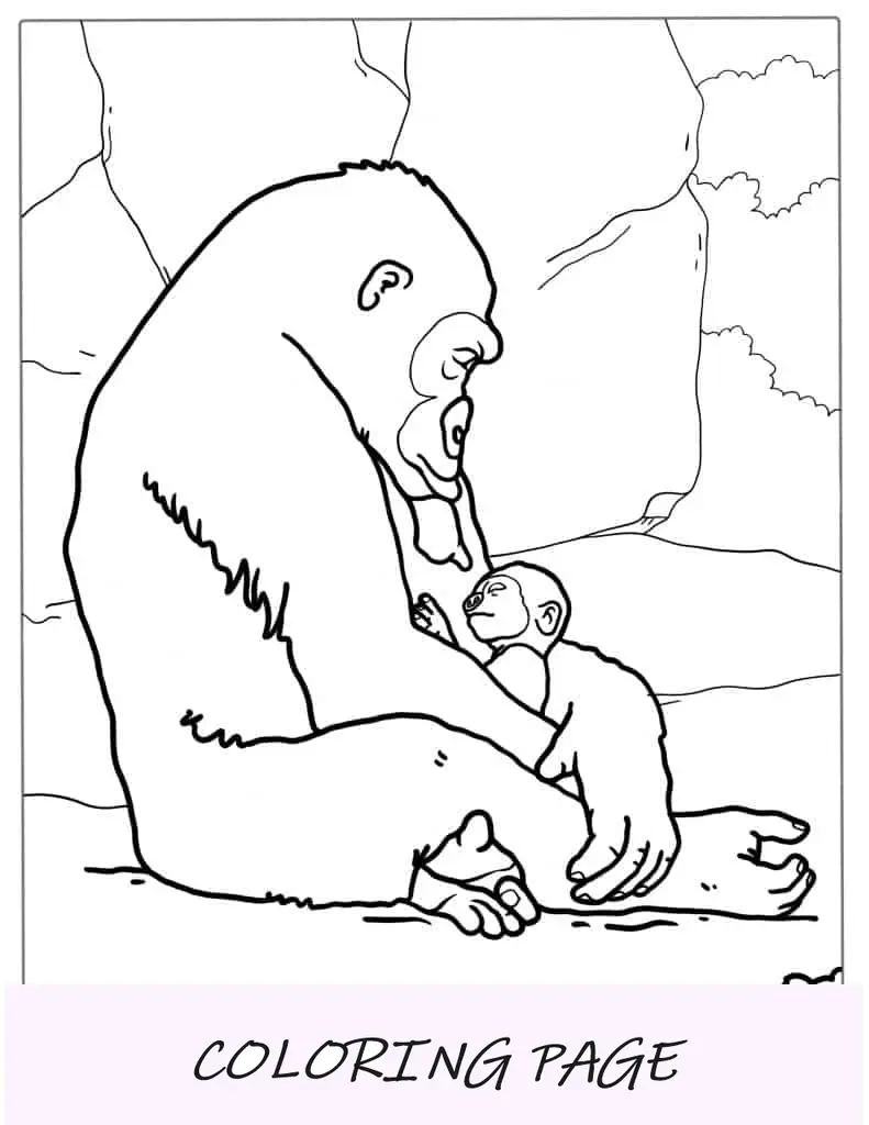 Folha Para Colorir Gorila Silverback Segurando Bebê