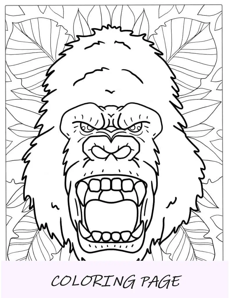 Folha detalhada para colorir cabeça de gorila