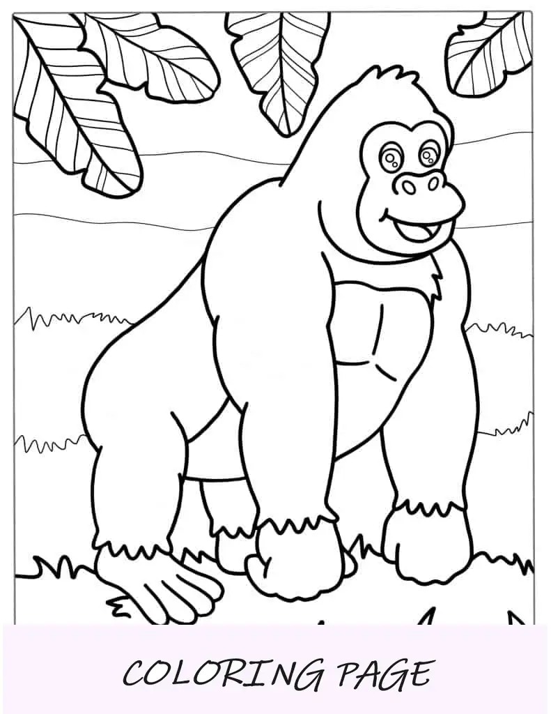 Contorno simples de um gorila na selva para colorir