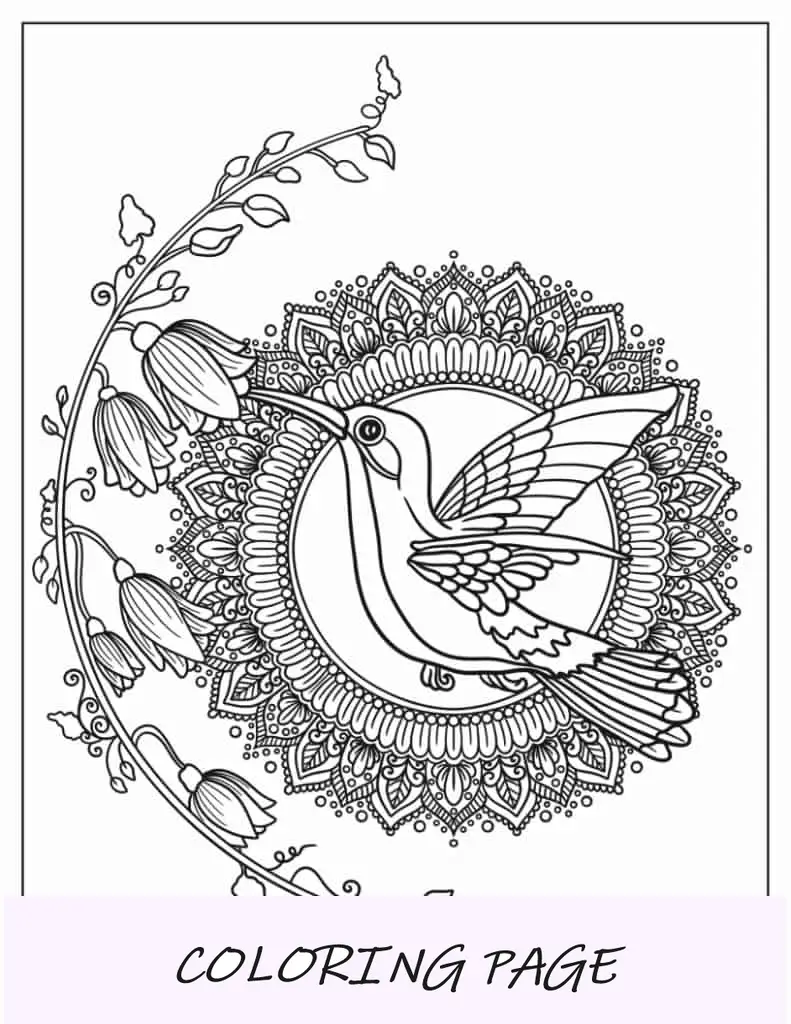 Folha para colorir de beija-flor com mandala