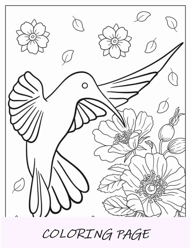 Esboço simples de beija-flor para crianças