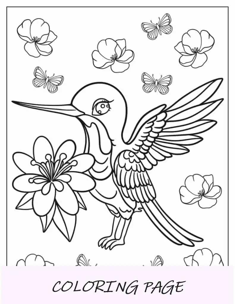Coloração de beija-flor Kawaii para crianças