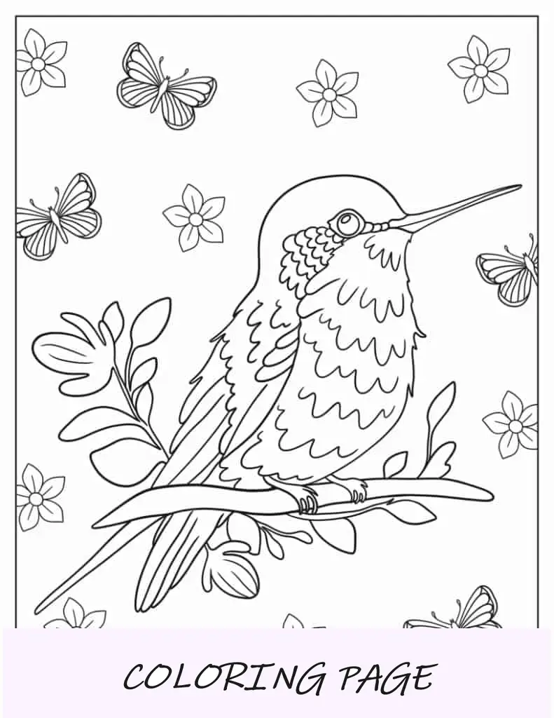 Folha para Colorir Beija-flor empoleirado em um galho