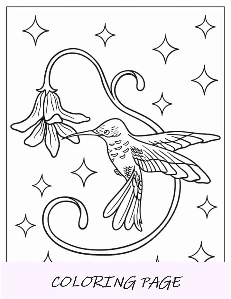 Folha para colorir Beija-flor pairando perto da flor do sino