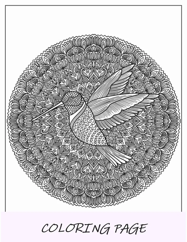 Mandala de beija-flor intrincada para adultos
