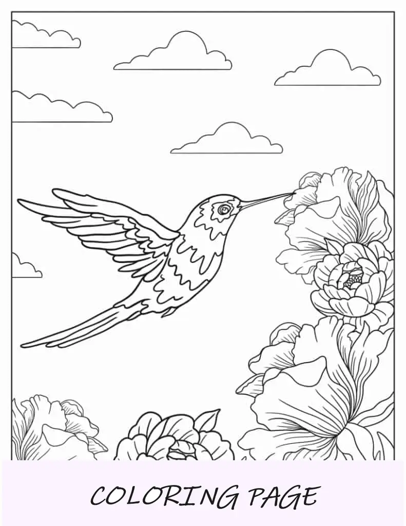 Página para colorir de beija-flor realista voando