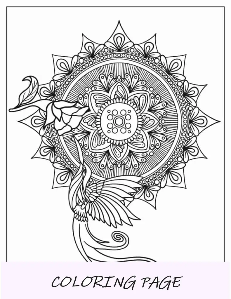 Mandala de beija-flor