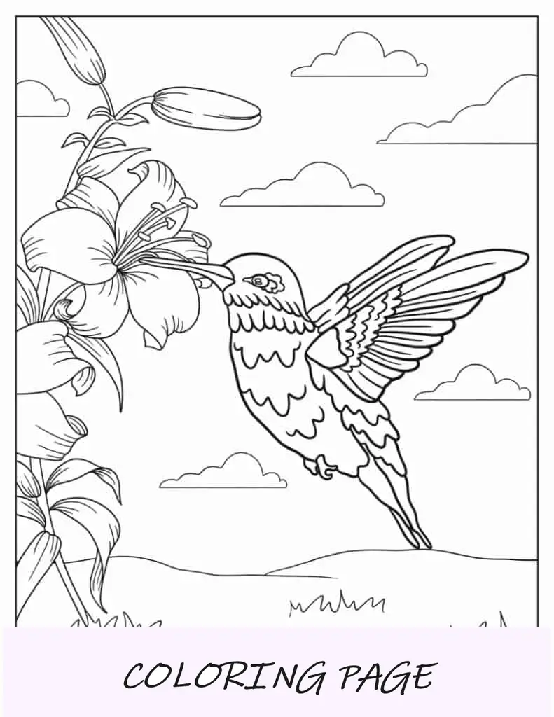 Página detalhada para colorir do beija-flor no ar