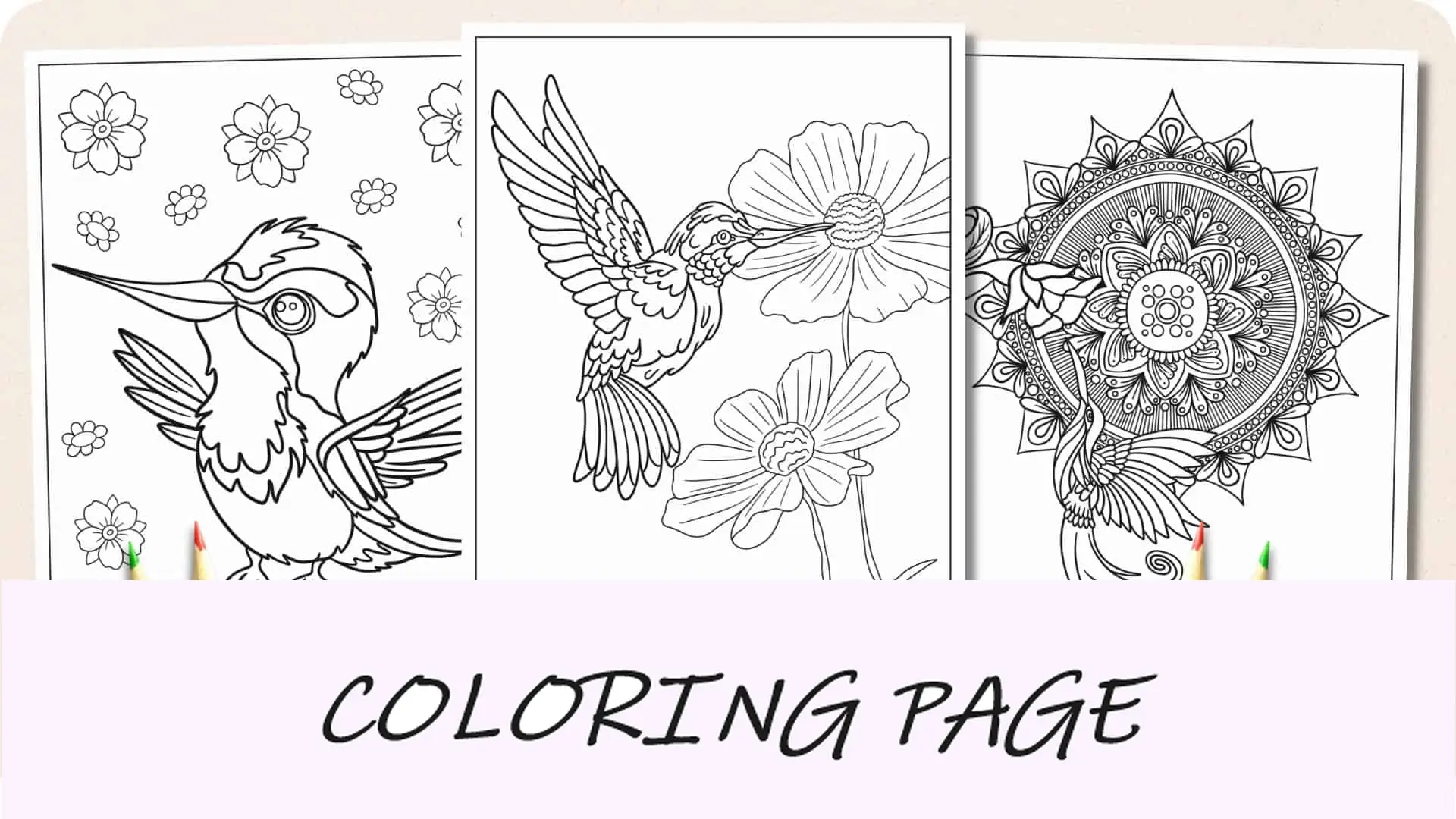 Imagem em destaque de páginas para colorir de beija-flor