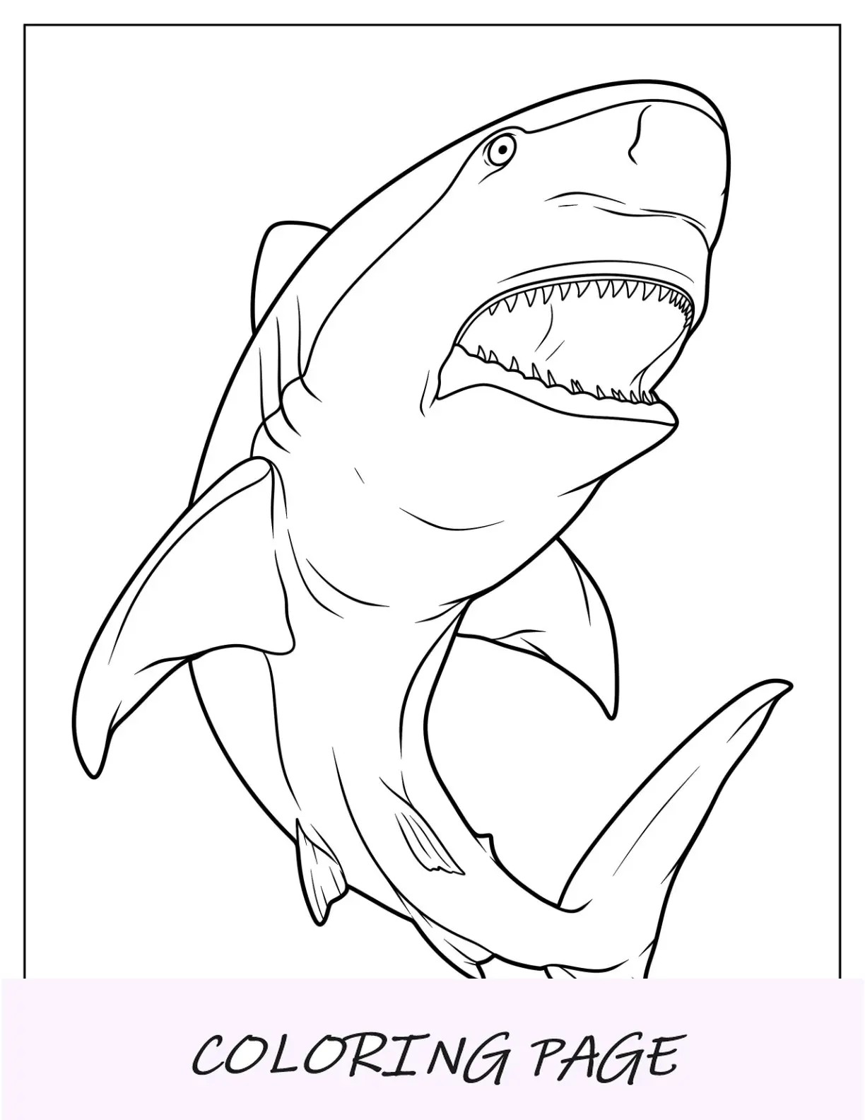 Primer plano de la página para colorear de tiburón toro