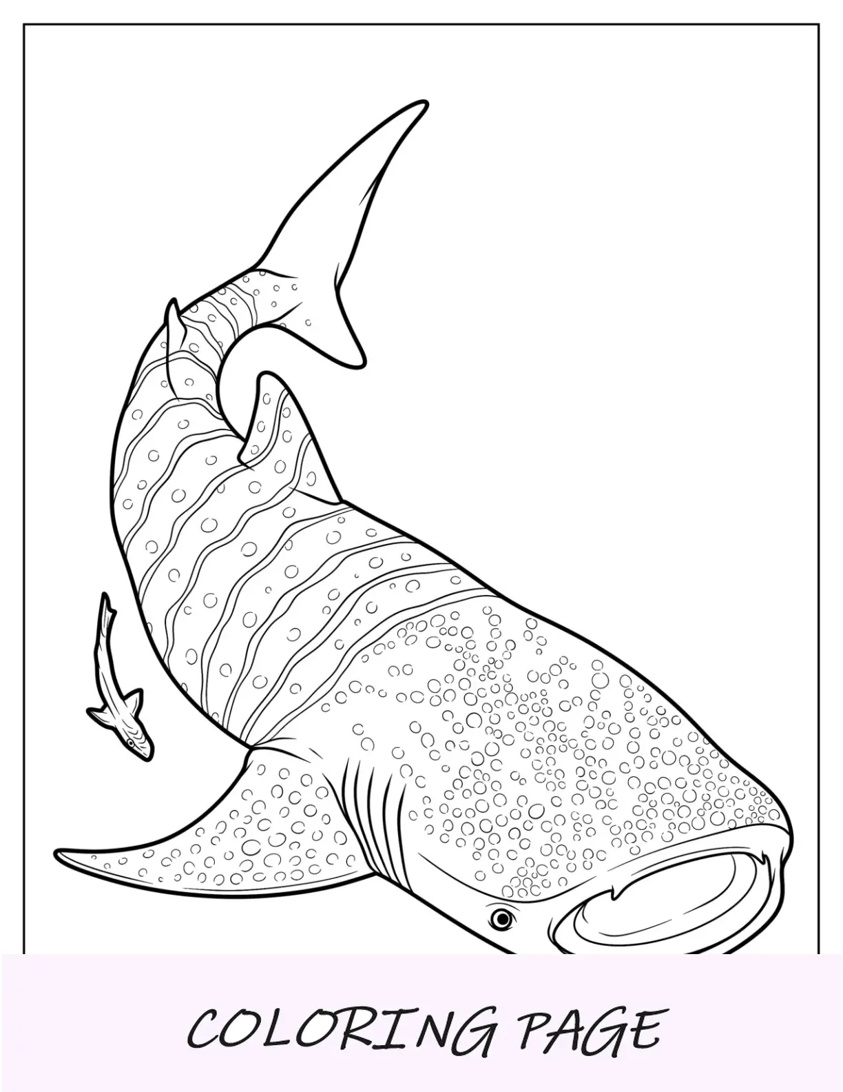 Página para colorear de tiburón ballena con textura