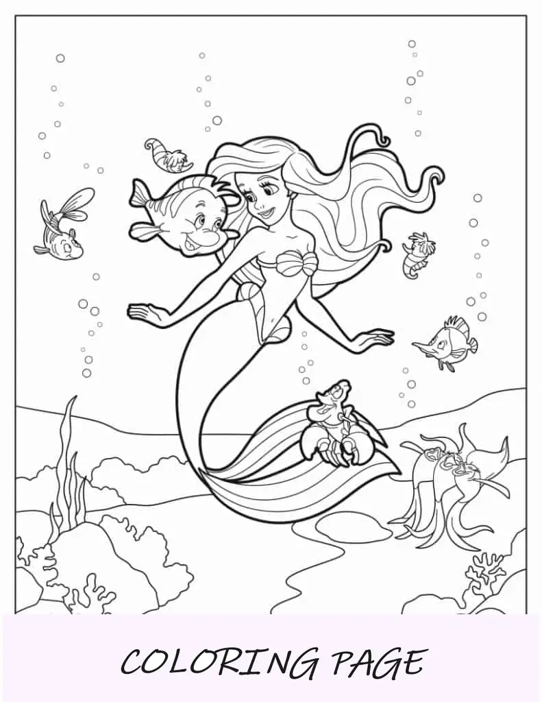 A Pequena Sereia Ariel, Sebastian e Linguados