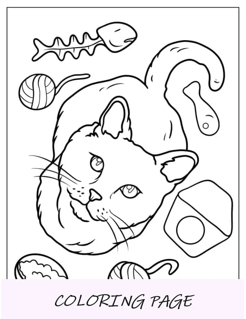 Gato adulto olhando para cima para colorir