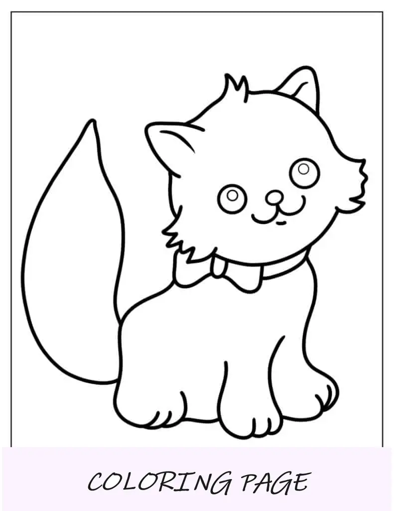 Gatinho peludo com gravata borboleta