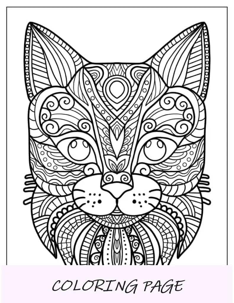 Mandala de rosto de gato para colorir