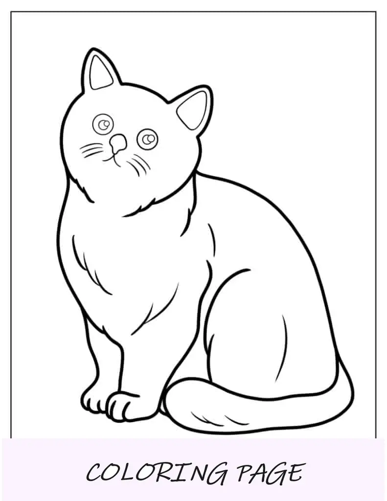 Esboço simples de página para colorir de gato realista