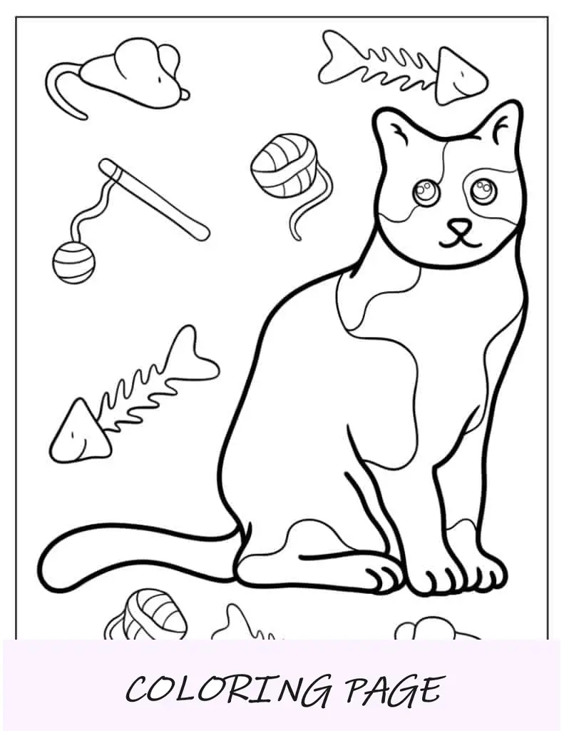 Gato com brinquedos e corante alimentar