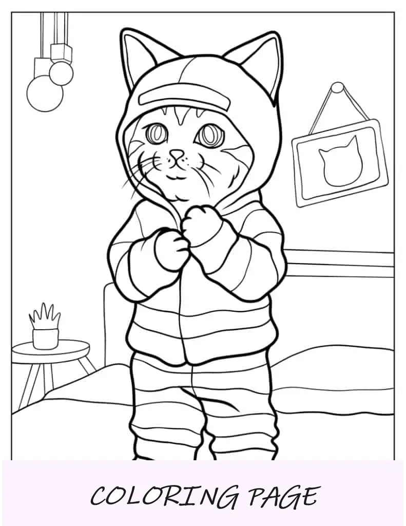 Gatinho vestindo calça e jaqueta com capuz