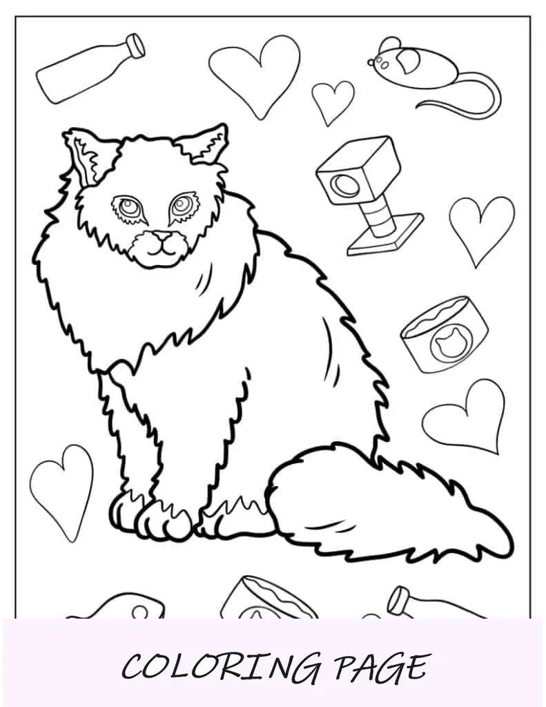 Folha para colorir de gato da floresta norueguesa