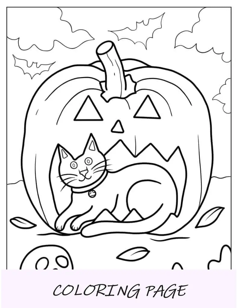 Gato dentro do grande Jack-O-Lantern