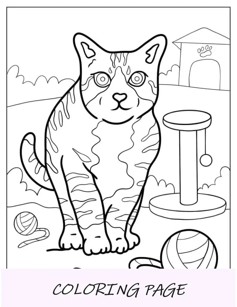 Folha para colorir de gato realista brincando com fio