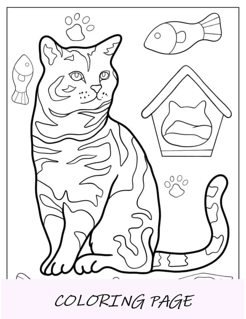 Página para colorir de gato listrado realista