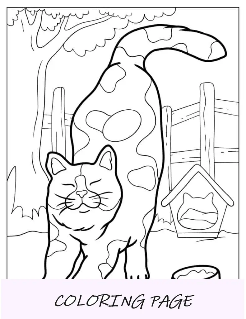 Gato malhado se esticando no quintal para colorir