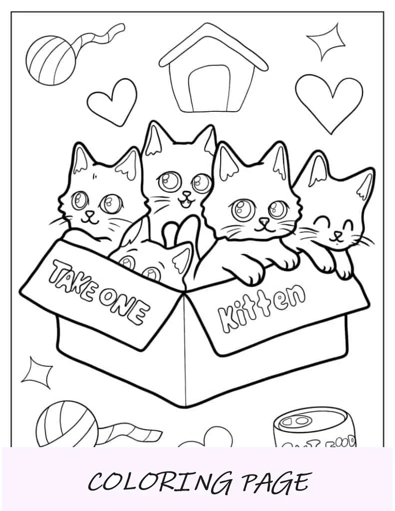 Página para colorir de gatinhos na caixa para adoção