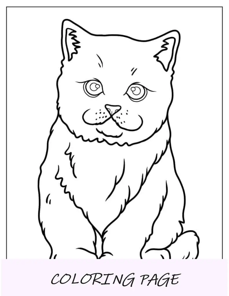 Página para colorir com contorno fácil de gatinho para crianças