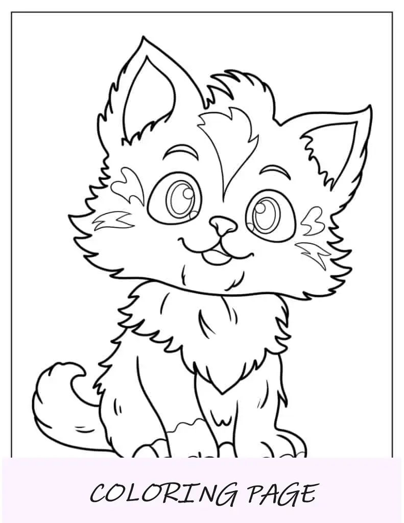 Gatinho Desalinhado