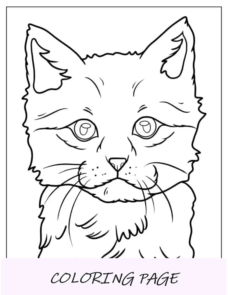 Close Up De Gatinho Colorido Realista