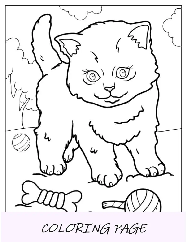 Gatinho brincando na grama com brinquedos