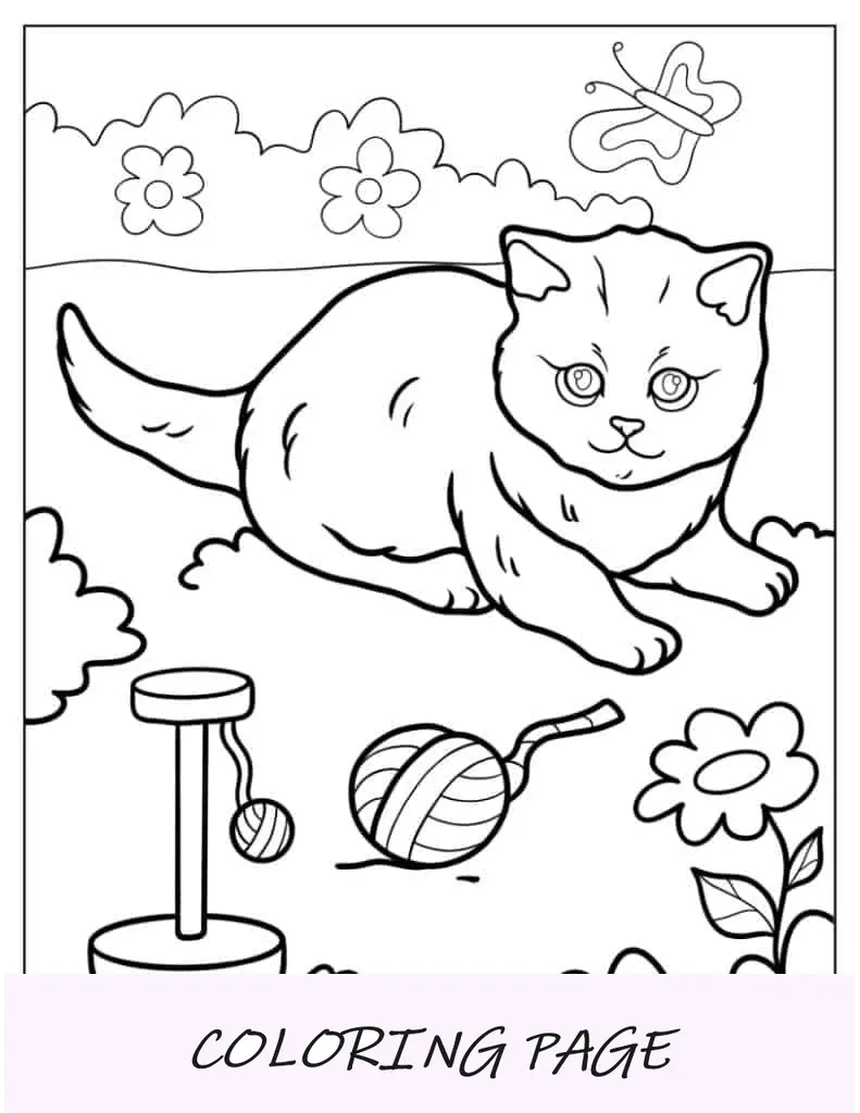 Gatinho deitado na grama com brinquedos