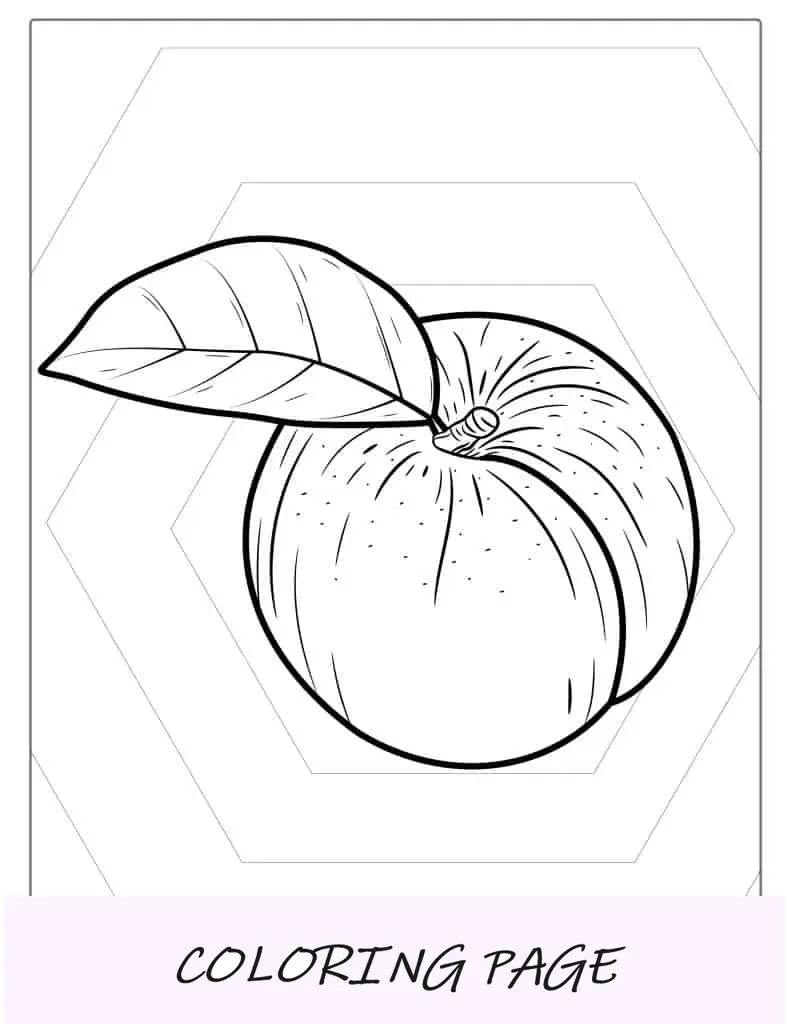 Malvorlage Pfirsich