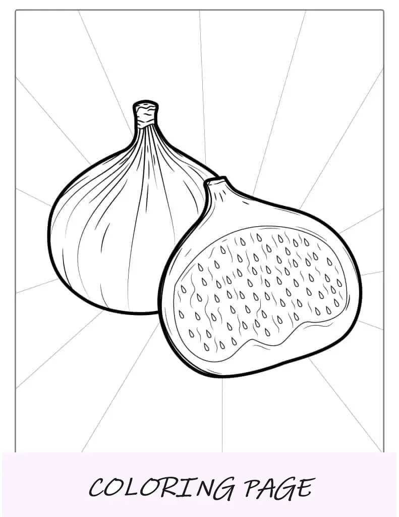 Ausmalbilder Feigenfrüchte