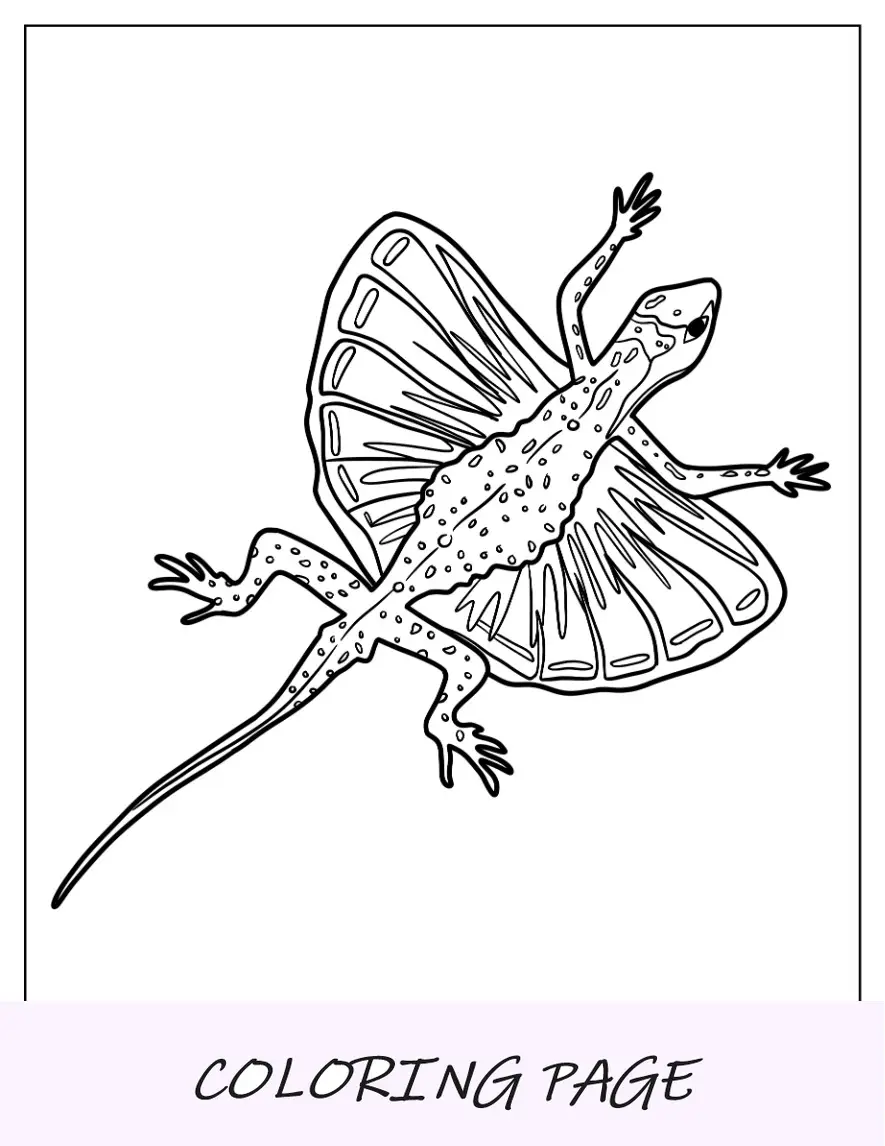 Dibujo para colorear Draco Flyzard Lagarto