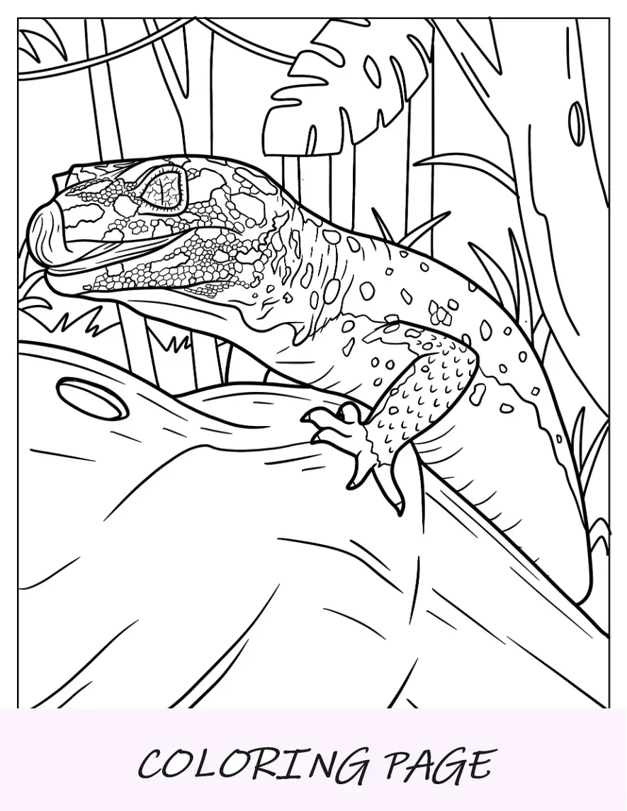Página para colorear de lagarto del primer plano del gecko leopardo