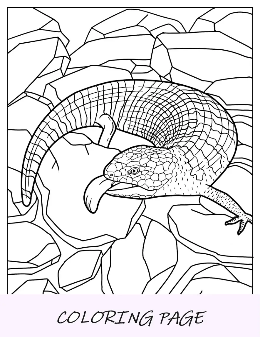 Página para colorear de lagarto eslizón de lengua azul