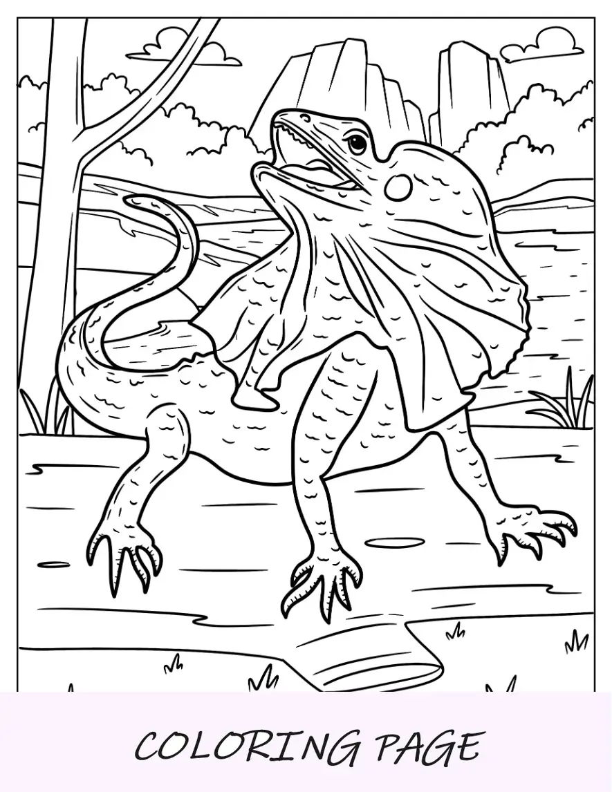 Página para colorear de lagarto mirando hacia arriba desde el suelo