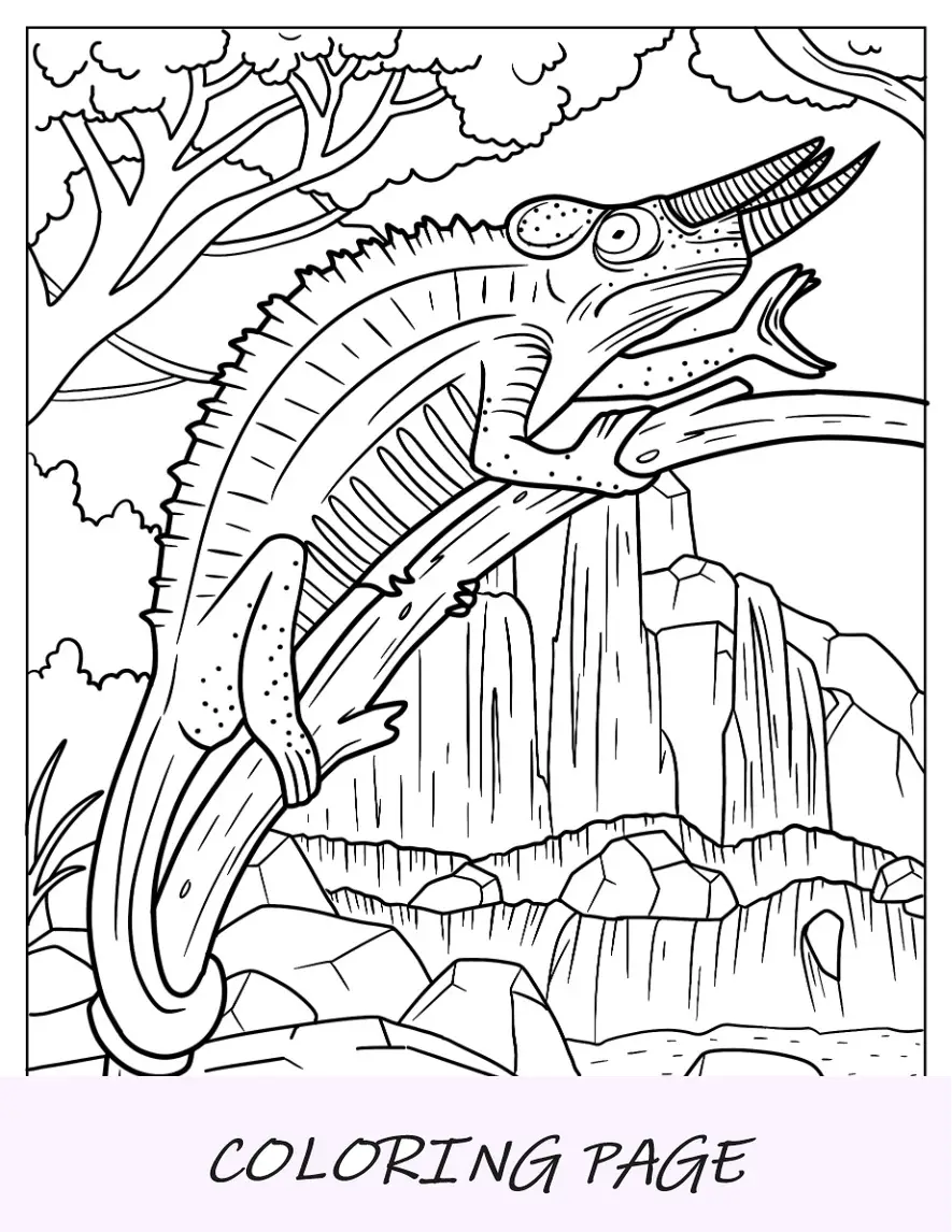 Página para colorear de lagarto de Jackson